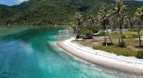 Tropical Place - Image 2