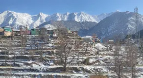 Nirmal Homestay - Image 3