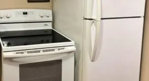 Charming 1-bedroom Basement Close to DC Pets Allowed - Image 3