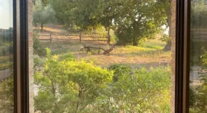 Agriturismo Sant'Angelo holiday farm - Image 2