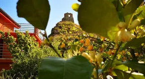 B&B La Torre - Image 5