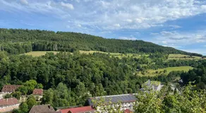 Gemütliche Wohnung im Schwarzwald in Wildberg - Image 5