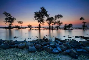 Villa Badui (Ttt) - Image 5