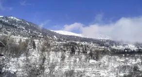Pranshi Home Stay Kalpa - Image 5
