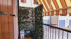 Casa Olivo - Image 5