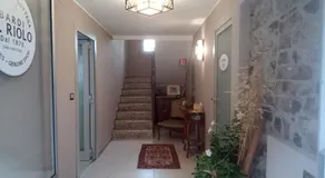 BARDI AL RIOLO la QUERCIA - Image 3