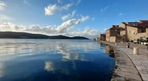 Brisa Vis Studio - Image 3