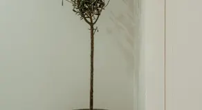Casa Milo Sotogrande - Image 2