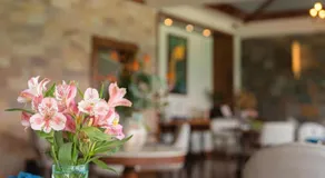 THE SHILLONG ADDRESS - Image 2