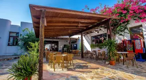Camping Paloma - Image 5