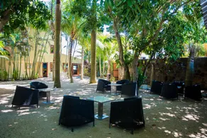 La Margarita - Image 4