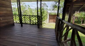 Rainforest Hut - Image 5