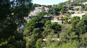 Morisca - Image 4