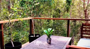 Noosa Hinterland Retreat - Image 4