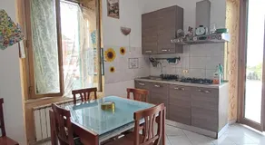 la gatta bianca - Image 3
