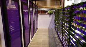 Purple Monkey Hostel - Image 3