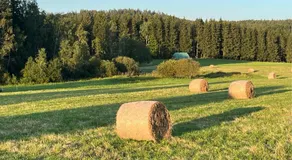 Ferienwohnung Hagert - Ankommen und Wohlfühlen - Image 5