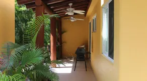 Los Mangos - Image 4