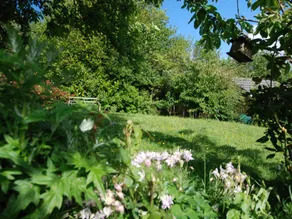 West Wales Holiday Cottage - Teifi View - Image 4