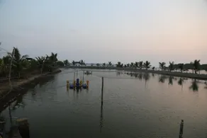 Kandal Theeram Farms - Image 4