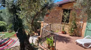 La Merla del Tasso - Image 3