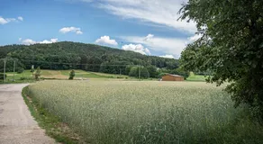 Bleibe am Moritzberg - Image 5