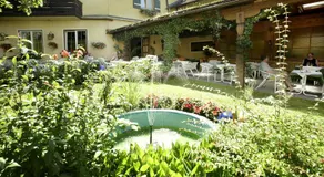 Goldener Ochs - Image 4