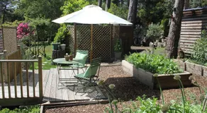 The Green Room - Image 3