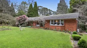 Linden - Image 5