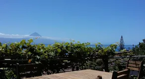 Casa do Zé - AL - Image 5