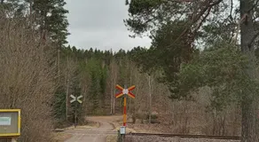 Hankas Biodling - Image 4
