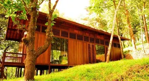 Meriyanda Nature Lodge - Coorg - Image 5