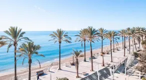 ANGY Banus - Image 2