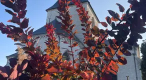 Macasa chambres et table d'hôte - Image 5