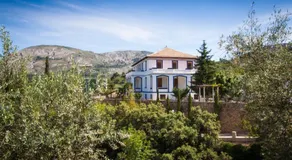 Casa Amparo - Alquiler íntegro con encanto en Alicante - Image 4