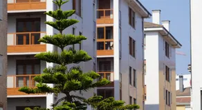 ALMAR, Apartamento en Luanco. - Image 2