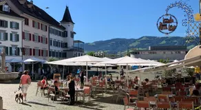 Old Town Charm & Central Location in Rapperswil - Image 2
