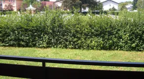 Paul's Home - Image 5