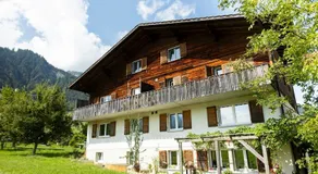 Sunny Renovated Alpine Apartment by Interlaken - Image 4