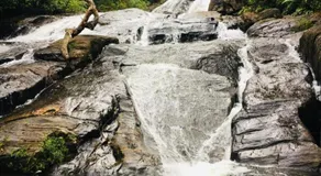 Thotupala Eco Lodge - Image 5