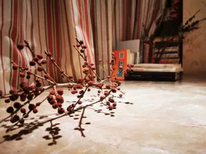 Mora’s home 陌陌の家 ‖小隐隐于重庆北站高铁旁的温馨小窝 - Image 5