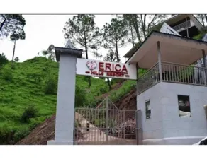 Hotel O Erica Hills Resort, Kasauli - Image 5