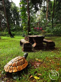 Nirvana Hill Resort - Image 4