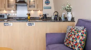2 Driftwood - Image 4