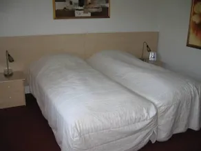 Rønnes Hotel - Image 2