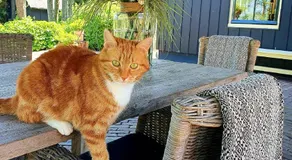 Op Stolk bed & breakfast - Image 3