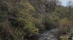 The Old Tredegar - Image 4