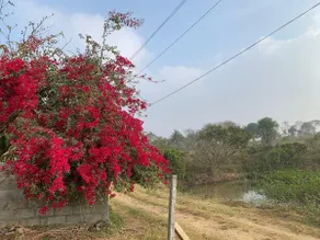 Sattva Farmstay - Cozy comfort cottage - Image 5
