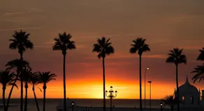 The Traveller`s house con vistas a PLAYA LA CALETA - Image 5