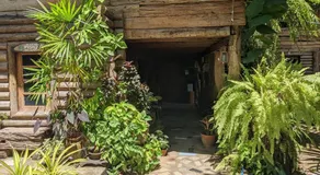 Baanmai Phaipa House - Image 5
